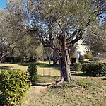 Villa Location Silvis Dans La Propriete Elaia