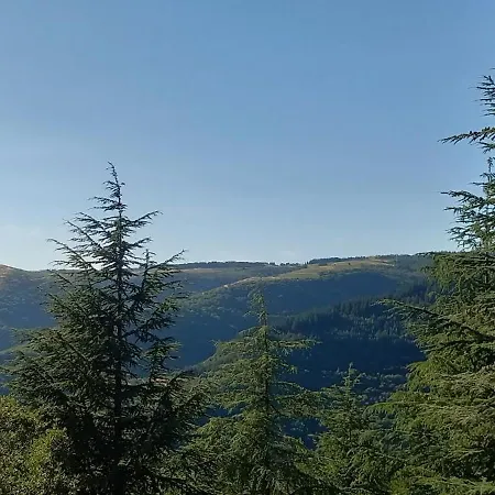 Location Silvis Dans La Propriete Elaia