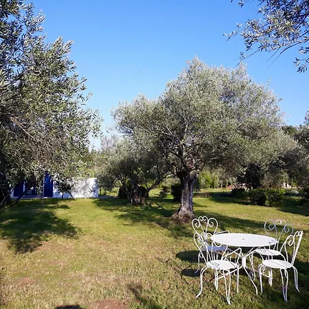 Villa Location Silvis Dans La Propriete Elaia