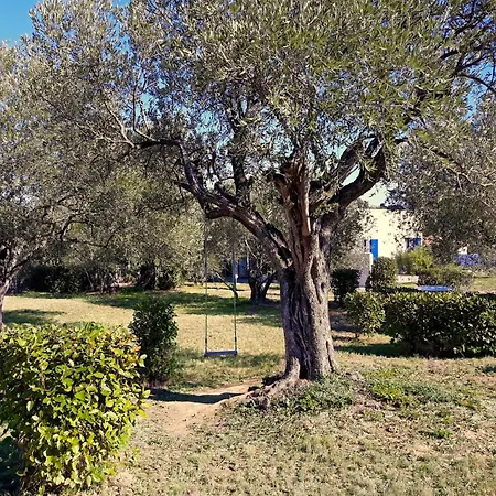 Villa Location Silvis Dans La Propriete Elaia