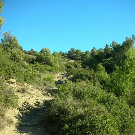 Location Silvis Dans La Propriete Elaia Tourouzelle