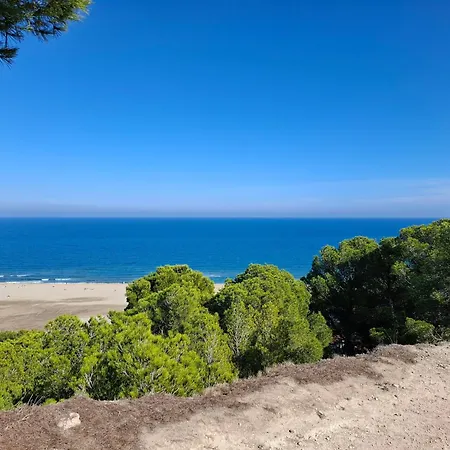 Location Silvis Dans La Propriete Elaia * Tourouzelle