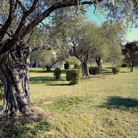 Location Silvis Dans La Propriete Elaia * Tourouzelle