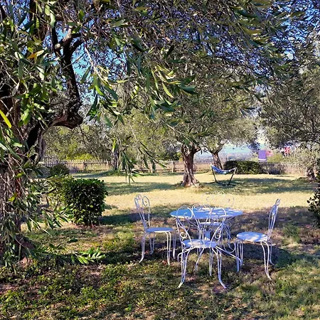 Location Silvis Dans La Propriete Elaia Villa