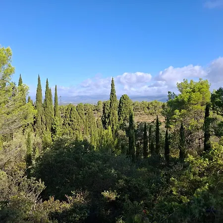 Vila Location Silvis Dans La Propriete Elaia *