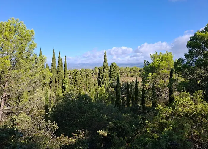 Location Silvis Dans La Propriété Elaia