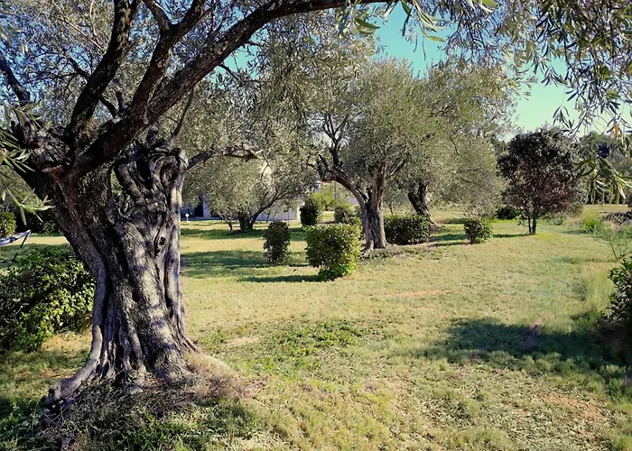 Location Silvis Dans La Propriété Elaia
